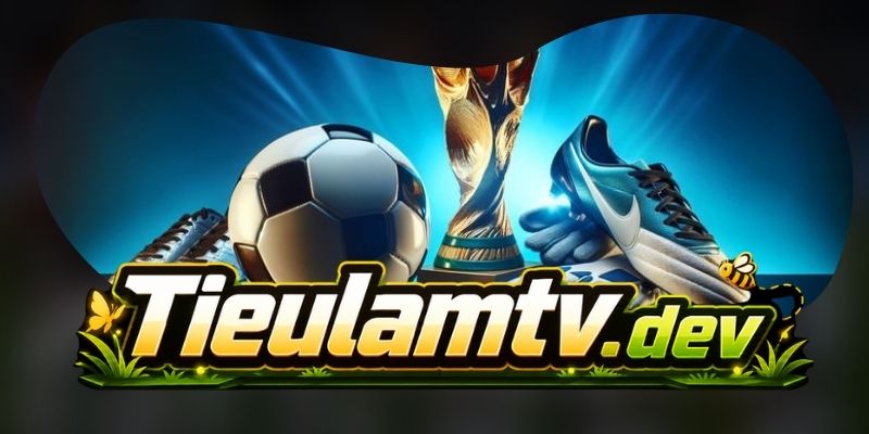 Chính sách bảo mật TieulamTV làm rõ cookie truy cập